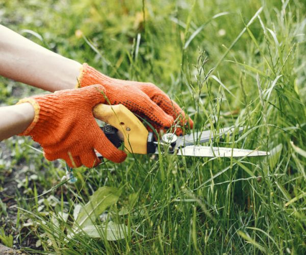 Common Mulching Mistakes and How to Avoid Them