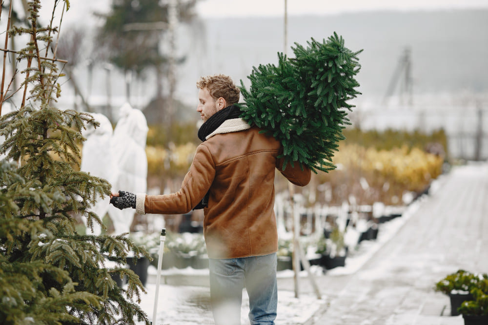 How Christmas Tree Delivery Services Help You Save Time This Holiday Season