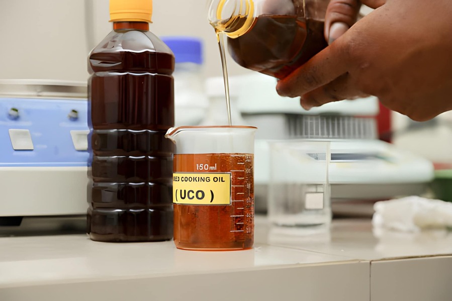 How Cooking Oil is Recycled?