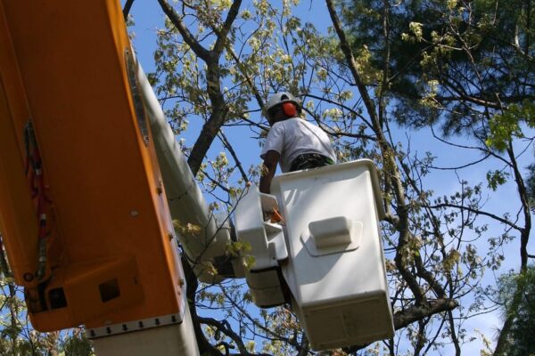 Safety Checklist for Bucket Truck Operators