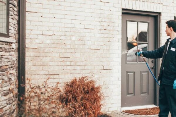 What Dallas Renters Should Know About Landlord and Tenant Pest Responsibilities