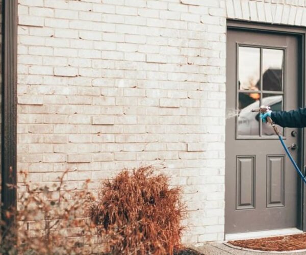What Dallas Renters Should Know About Landlord and Tenant Pest Responsibilities