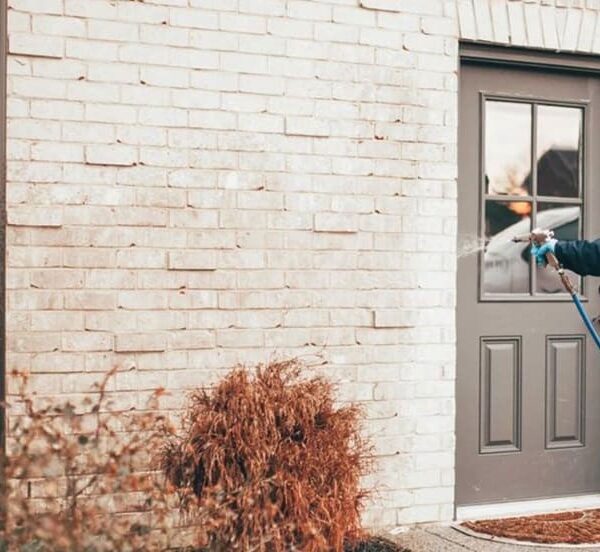 What Dallas Renters Should Know About Landlord and Tenant Pest Responsibilities
