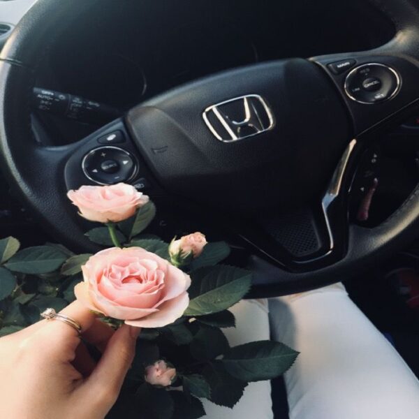 Honda of Staten Island