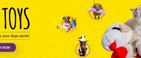 MultiPet