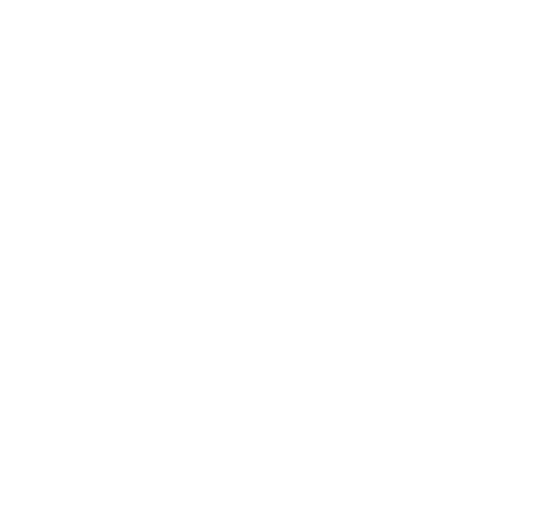 Surplus Solutions