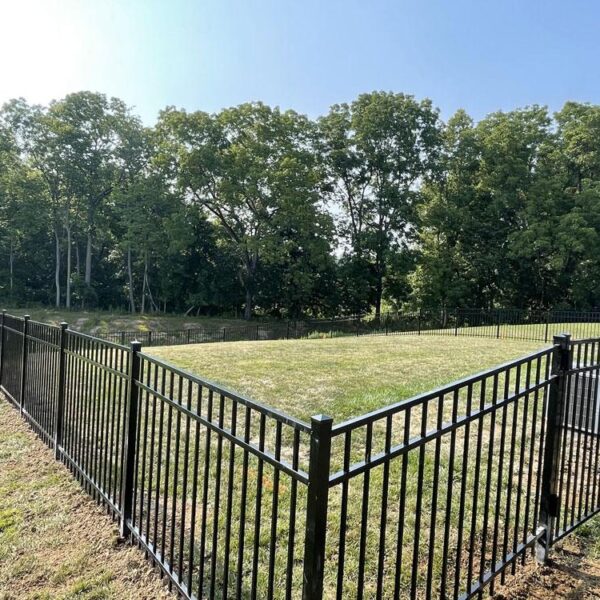 Murphy Fence