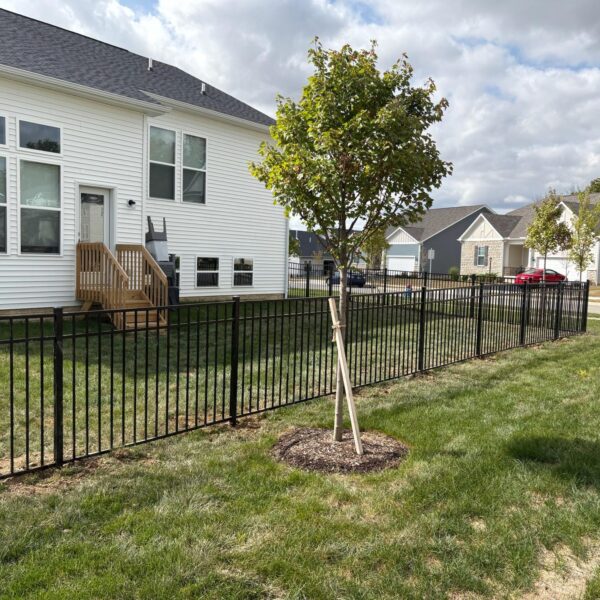 Murphy Fence