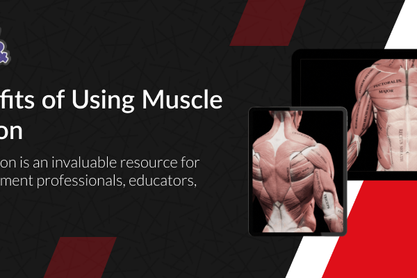 Muscle and Motion